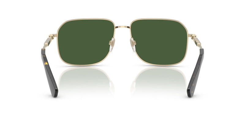BE3159 110971 (59) light gold/dark green lens