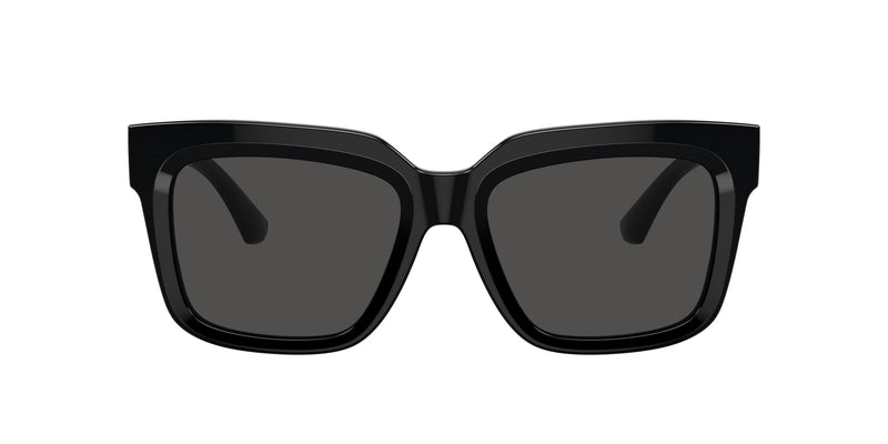 BE4419 300187 black/dark grey lens