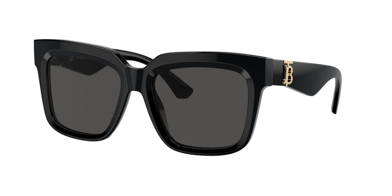 BE4419 300187 black/dark grey lens