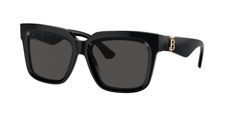 BE4419F 300187 black/dark grey lens