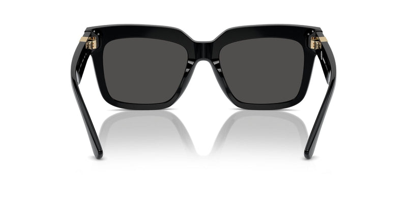 BE4419 300187 black/dark grey lens