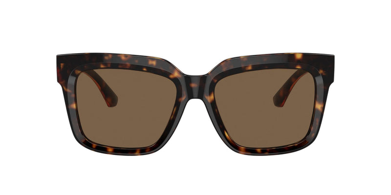 BE4419F 300273 dark havana/dark brown lens
