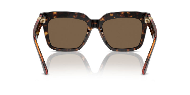 BE4419F 300273 dark havana/dark brown lens
