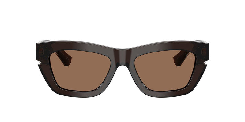 BE4454 411673 brown/ dark brown lens