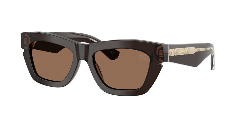BE4454 411673 brown/ dark brown lens