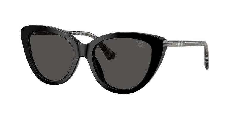 BE4457 416587 black/dark grey lens