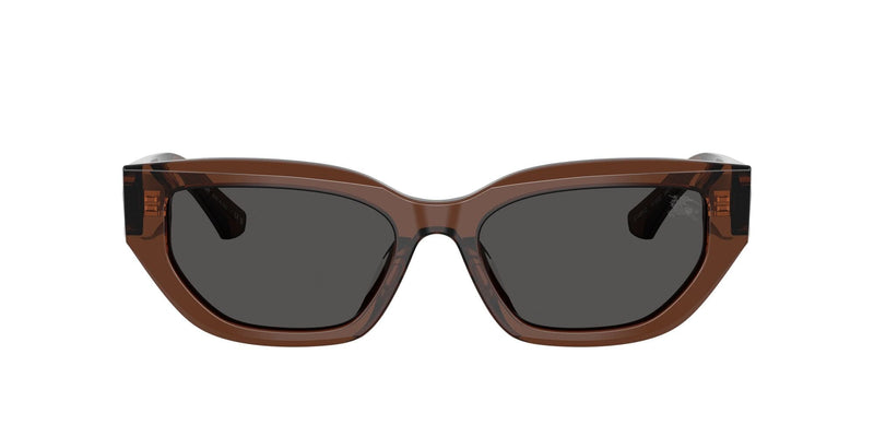 BE4463D 411687 brown/ brown lens