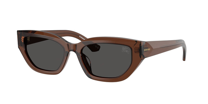 BE4463D 411687 brown/ brown lens