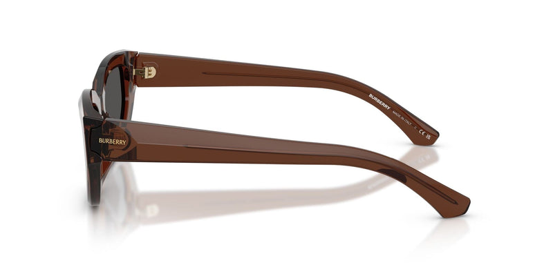 BE4463D 411687 brown/ brown lens