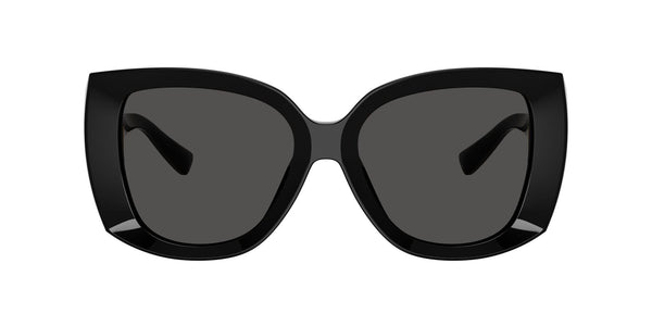 DG4495 501/87 black/grey lens