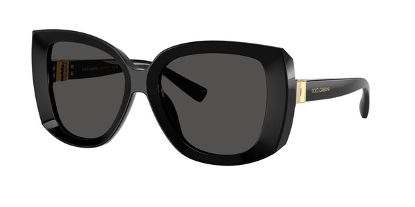 DG4495 501/87 black/grey lens