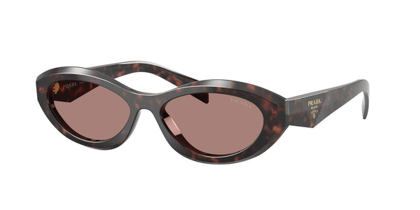 SPR26ZSF 17N60B root tortoise/light brown lens