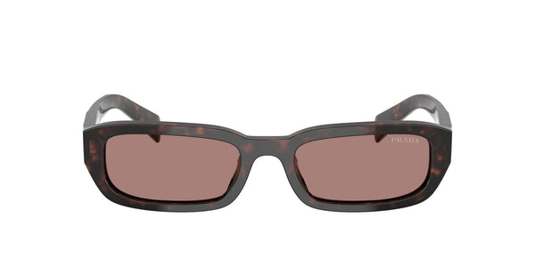 SPRB06S 17N60B  root tortoise/light brown lens