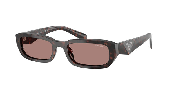 SPRB06S 17N60B  root tortoise/light brown lens