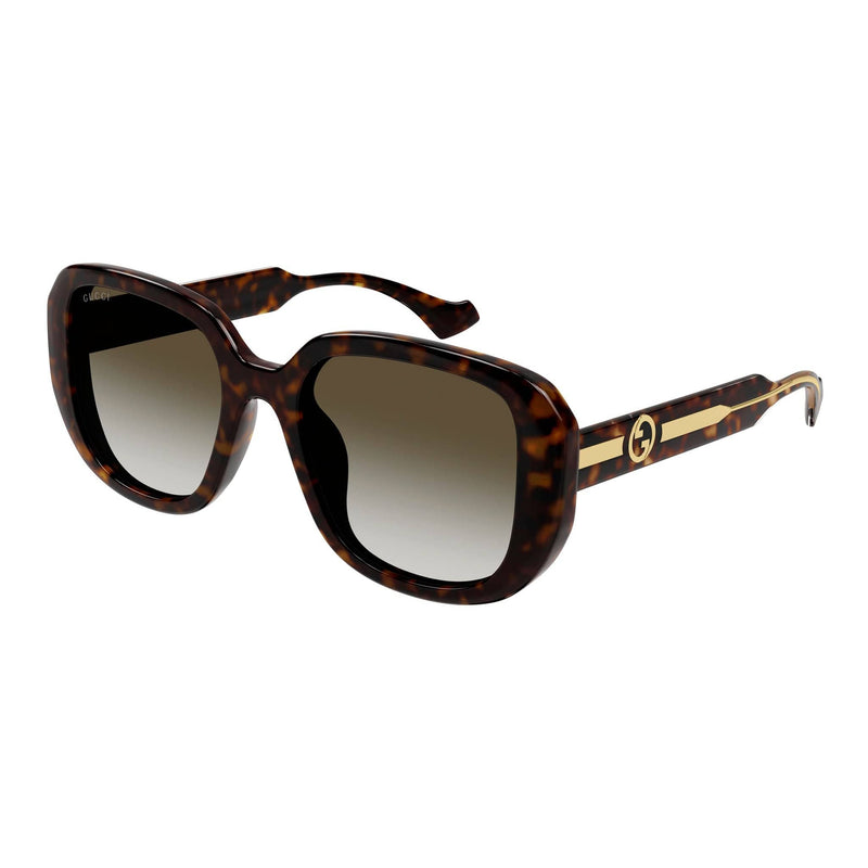 GG1557SK 002 havana/brown lens