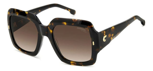 Carrera 3004/s 086 havana brown gradient lens