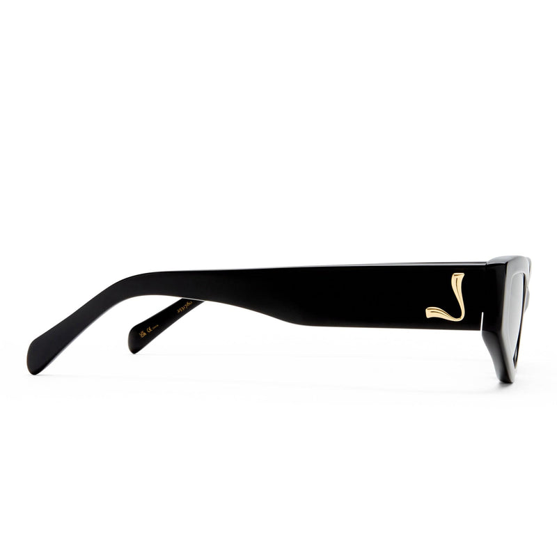 The Hayley 2531780 black/smoke mono polarised lens