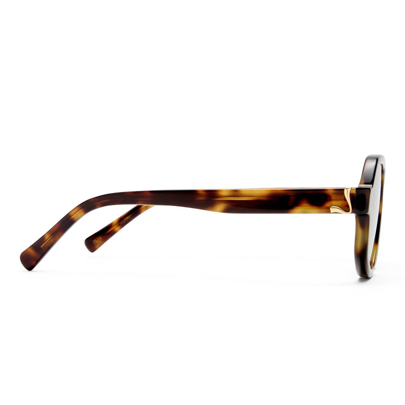 THE BANKS  2531787 moss tortoise/khaki mono polarised lens